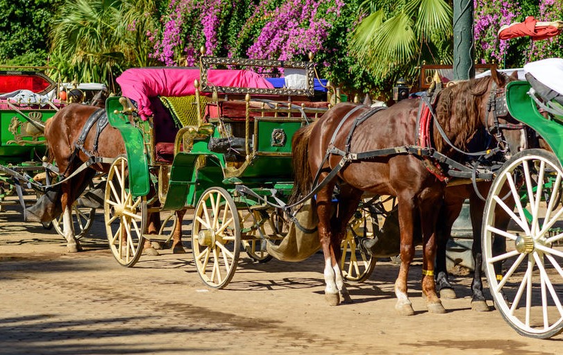Marrakech Gardens Tour by Carriage