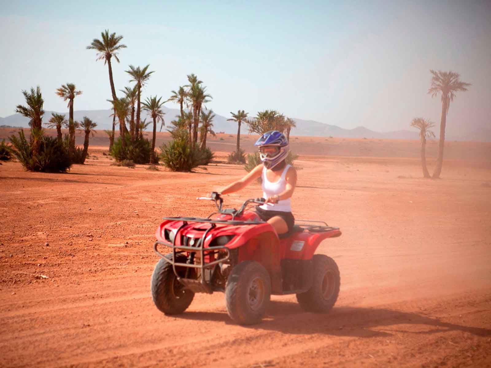 Quad Bike Excursion in the Oasis Palmeraie