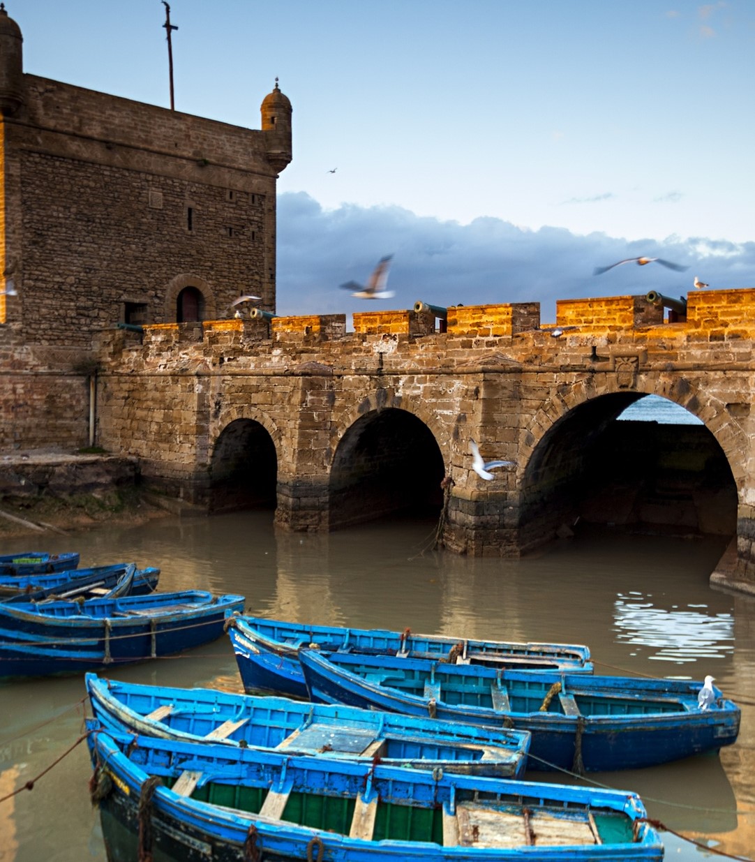 1 Day Excursion To Essaouira