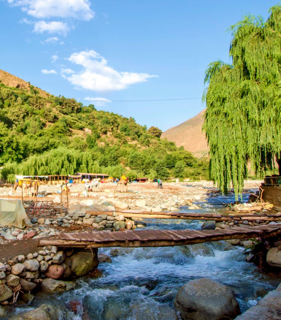 1 Day Excursion To Ourika Valley